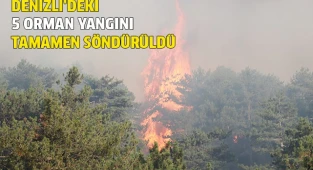 Denizli'deki 5 orman yangını tamamen söndürüldü