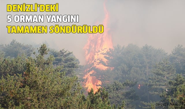 Denizli'deki 5 orman yangını tamamen söndürüldü