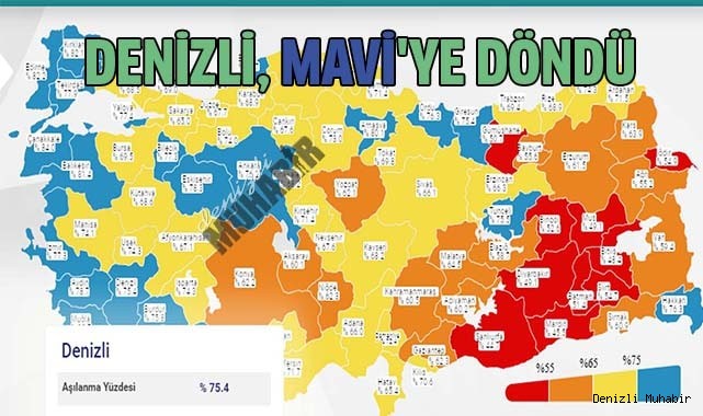 Denizli, Mavi renk oldu