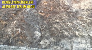 Denizli’nin ciğerleri alevlere teslim oldu