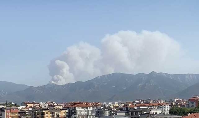 Denizli Valilği'nden Tavas'taki yangınla ilgili açıklama