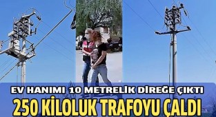 Ev hanımı 10 metrelik direğe çıkıp 250 kiloluk trafoyu çaldı