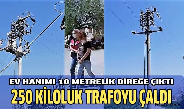 Ev hanımı 10 metrelik direğe çıkıp 250 kiloluk trafoyu çaldı