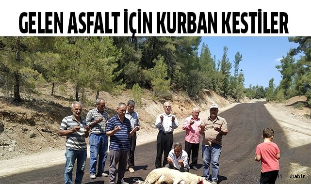 Gelen asfalt için kurban kestiler