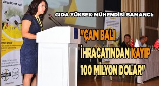 Gıda Yüksek Mühendisi Samancı: "Çam balı ihracatından kayıp 100 milyon dolar"