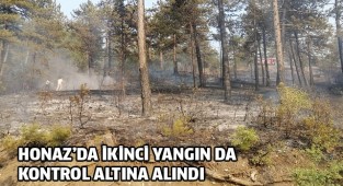 Honaz’da ikinci yangında kontrol altına alındı