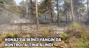Honaz’da ikinci yangında kontrol altına alındı