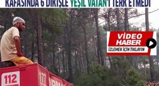 Kafasında 6 dikişle Yeşil Vatan'ı terk etmedi