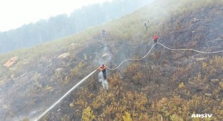 Karacasu'da  yangın çıktı