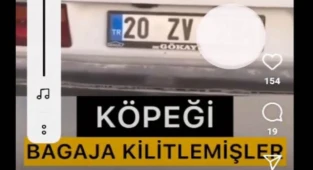 Kavurucu sıcakta Köpeği, bagaja kilitledi