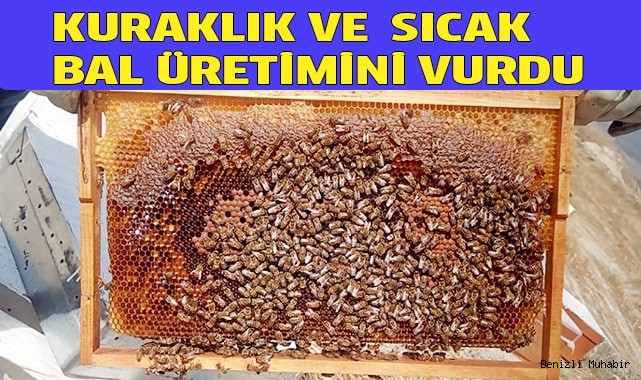 Kuraklık ve aşırı sıcak bal üretimini vurdu