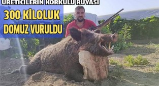 Mısır üreticisi Kocabaş canavarından kurtuldu