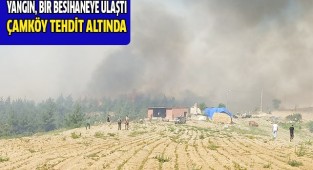 Orman yangını bir mahalleyi tehdit ediyor