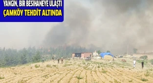Orman yangını bir mahalleyi tehdit ediyor