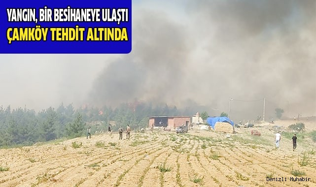 Orman yangını bir mahalleyi tehdit ediyor