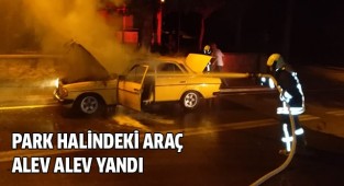 Park halindeki araç alev alev yandı