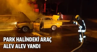 Park halindeki araç alev alev yandı