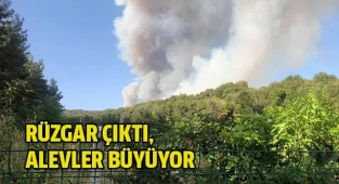 Rüzgar çıktı, alevler yayılıyor
