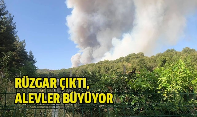 Rüzgar çıktı, alevler yayılıyor