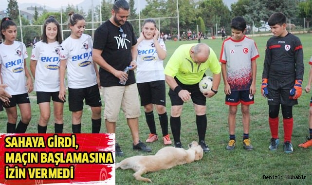 Sahaya girdi, maçın başlamasına izin vermedi