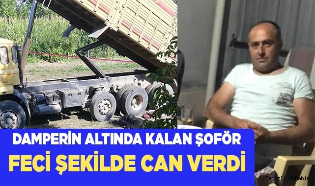 Silaj boşaltırken kapanan damperin altında kalan sürücü öldü