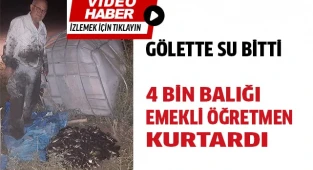 Suyu biten göletten 4 bin balığı kurtardılar