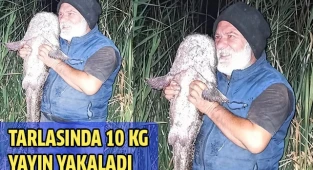 Tarladan yayın çıktı