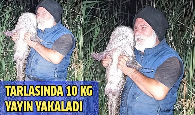 Tarladan yayın çıktı