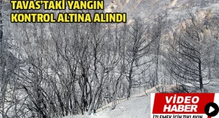 Tavas’taki yangın kontrol altına alındı