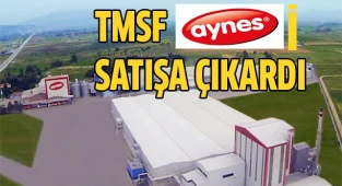 TMSF, Aynes Gıda'yı satışa çıkardı