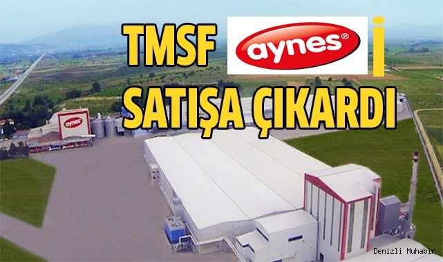 TMSF, Aynes Gıda'yı satışa çıkardı