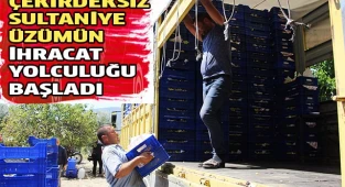 Üzümün ihracat yolculuğu başladı