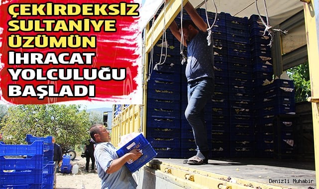 Üzümün ihracat yolculuğu başladı