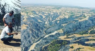 Yanan ormanlar için ağaçlandırma projesi başladı