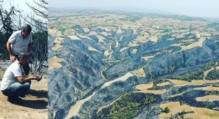 Yanan ormanlar için ağaçlandırma projesi başladı