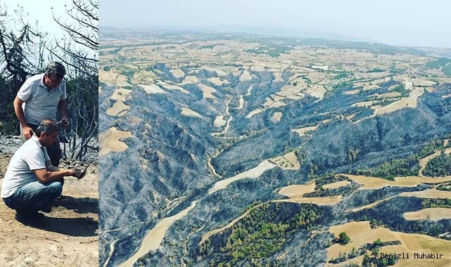 Yanan ormanlar için ağaçlandırma projesi başladı