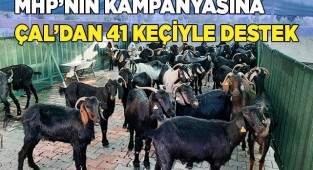 Yangın bölgesinde yaşayanlar için 41 damızlık keçi gönderildi