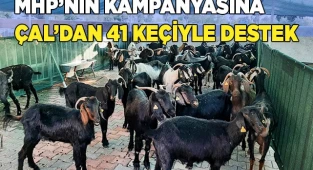 Yangın bölgesinde yaşayanlar için 41 damızlık keçi gönderildi