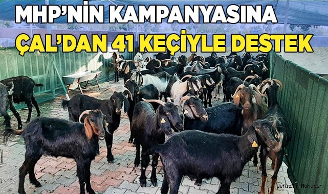 Yangın bölgesinde yaşayanlar için 41 damızlık keçi gönderildi
