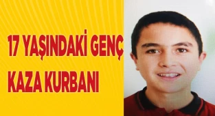 Yolun karşısına geçemedi