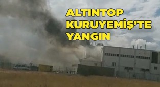 Altıntop kuruyemiş'te yangın