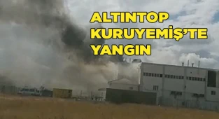 Altıntop kuruyemiş'te yangın