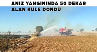 Anız yangınında 50 dekar alan küle döndü