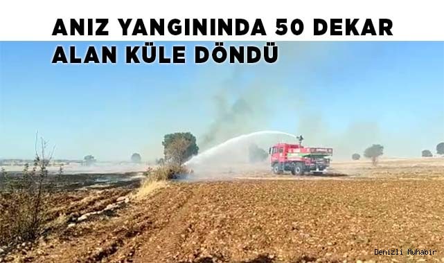 Anız yangınında 50 dekar alan küle döndü