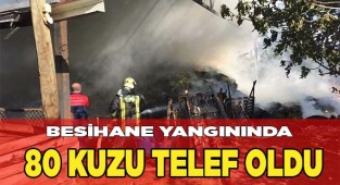 Besihane yangınında 80 kuzu telef oldu