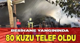 Besihane yangınında 80 kuzu telef oldu