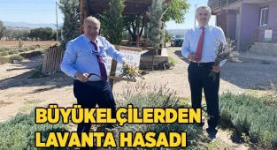 Büyükelçilerden lavanta hasadı