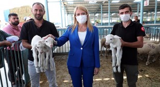 MERKEZEFENDİ BELEDİYESİ’NDEN KADIN ÜRETİCİLERE KÜÇÜKBAŞ HAYVAN DESTEĞİ