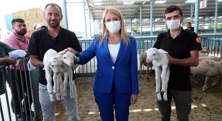 MERKEZEFENDİ BELEDİYESİ’NDEN KADIN ÜRETİCİLERE KÜÇÜKBAŞ HAYVAN DESTEĞİ
