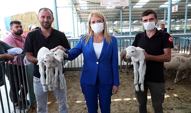 MERKEZEFENDİ BELEDİYESİ’NDEN KADIN ÜRETİCİLERE KÜÇÜKBAŞ HAYVAN DESTEĞİ